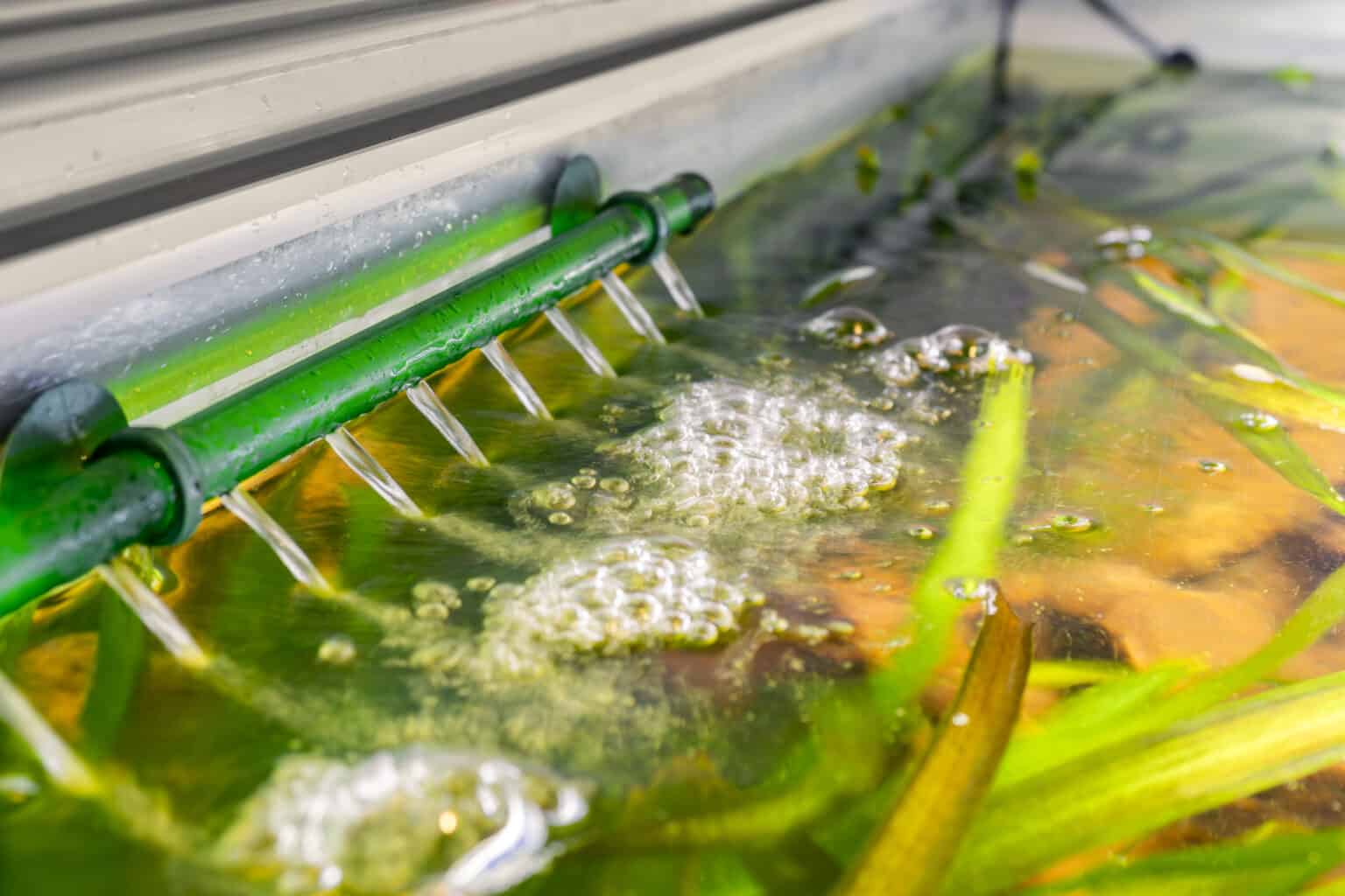 Curated visual reference: Gallery Detail: If You Recognize These Signs Your Fish Might Be Stressed